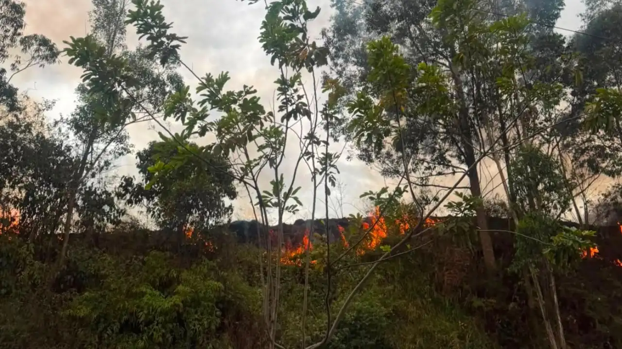 Más calor, menos lluvias y riesgo de incendios: Medellín alista plan por temporada seca 3 Más calor, menos lluvias y riesgo de incendios: Medellín alista plan por temporada seca