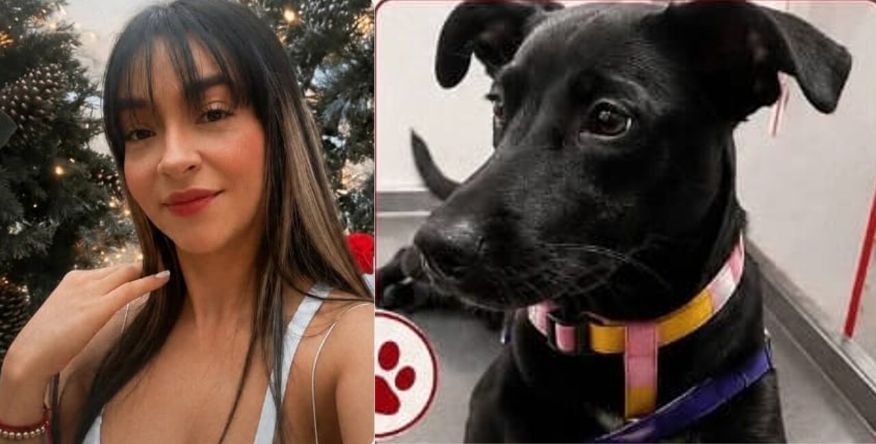 ¡Urgente! Buscamos a Mónica Núñez Marín, colombiana desaparecida tras abordar un taxi con su perrita en Ciudad de México 2 Monica tomó un taxi, en compañía de su perrita lulú, en Ciudad de México el 5 de julio y nunca volvió a aparecer: las buscamos urgente