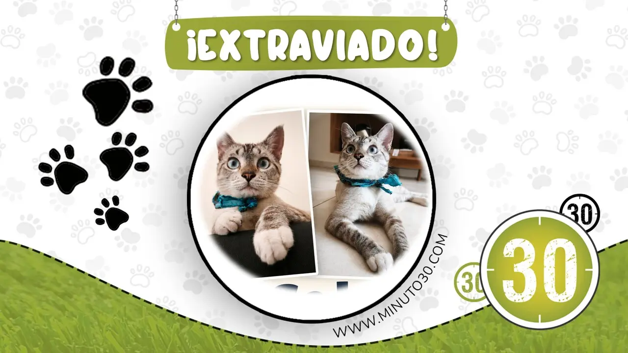 oreo perdido en girardot
