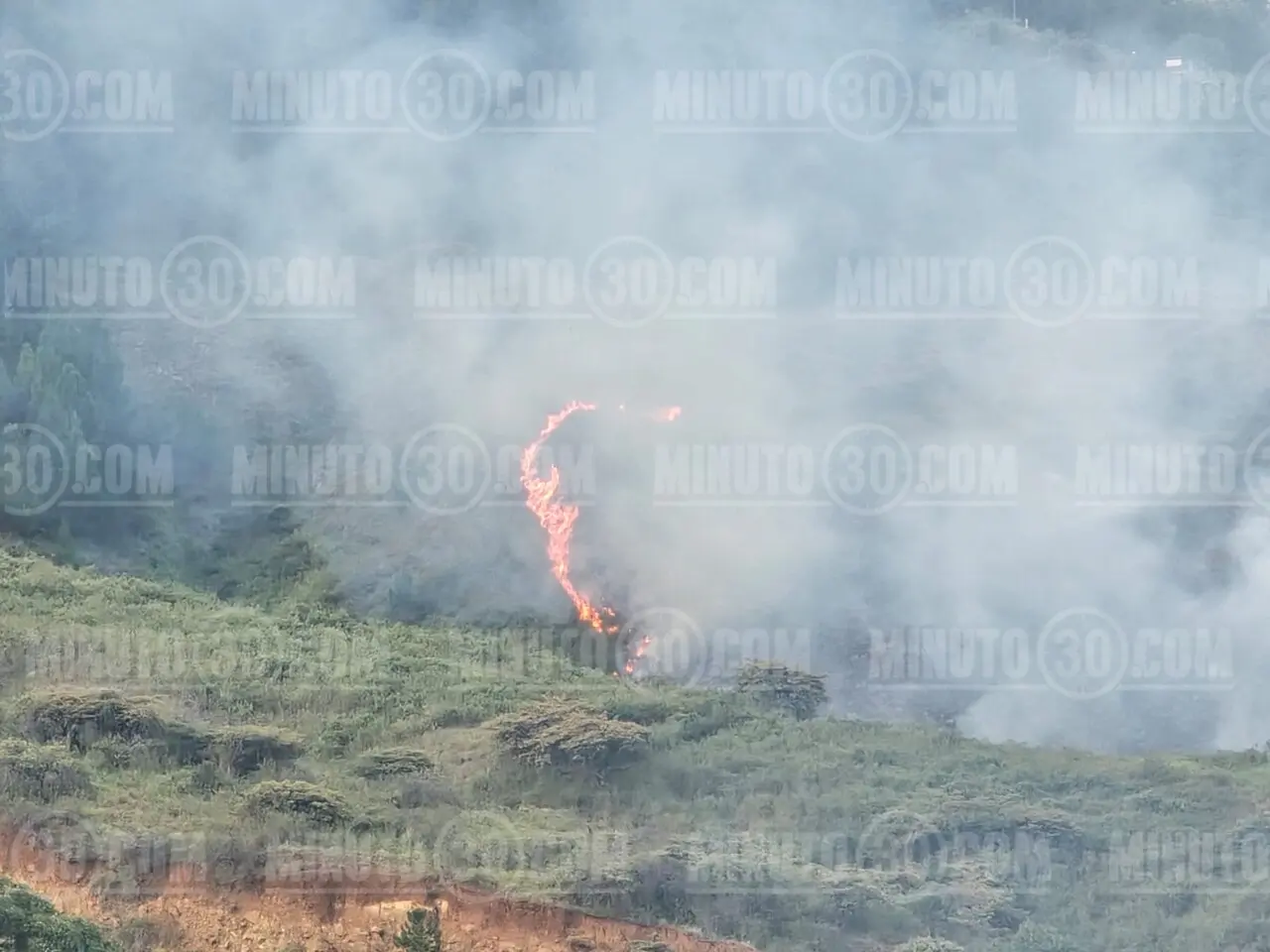 Feroz incendio forestal en Bello cerca al Cerro Quitasol: llamas superan los 4 metros de altura 4 quitasol3