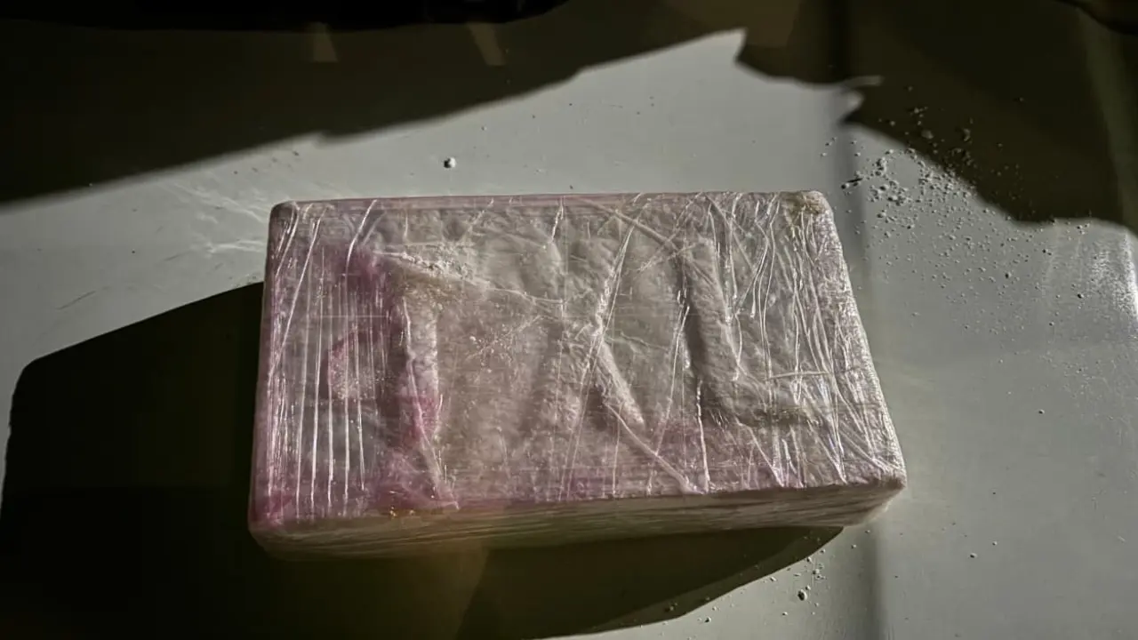 ¡Les dañaron el negocio! Incautan media tonelada de cocaína camuflada en un vehículo de carga 3 ¡Les dañaron el negocio! Incautan media tonelada de cocaína camuflada en un vehículo de carga