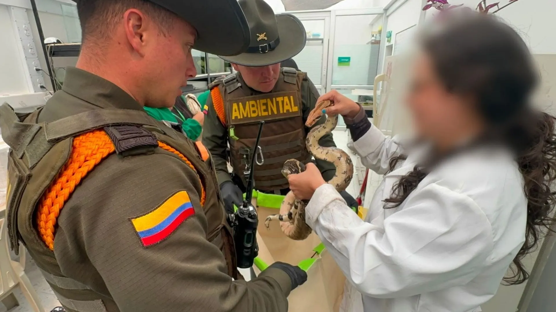 ¡Insólito en Bogotá! Incautan 23 animales silvestres que estaban exhibidos en una universidad