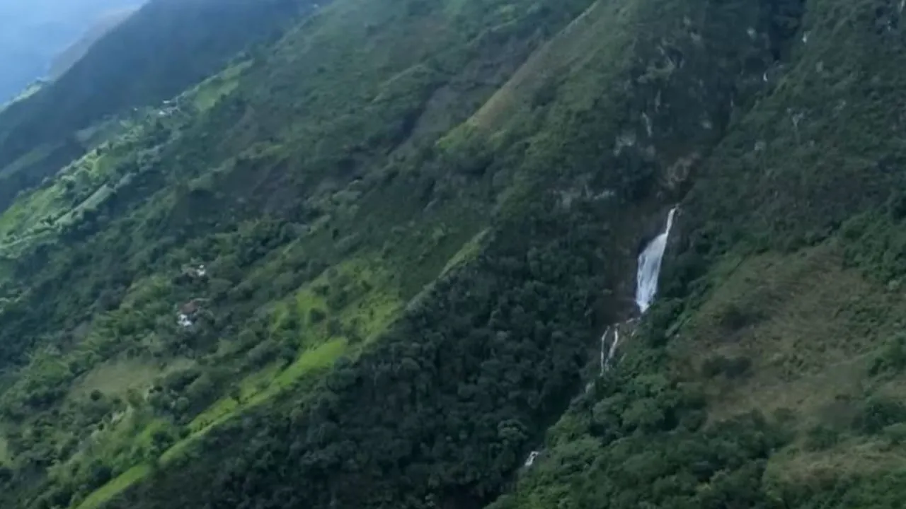 ¡Buenas noticias para los bosques! Corantioquia reportó una reducción de la deforestación en 2025 2 ¡Buenas noticias para los bosques! Corantioquia reportó una reducción de la deforestación en 2025