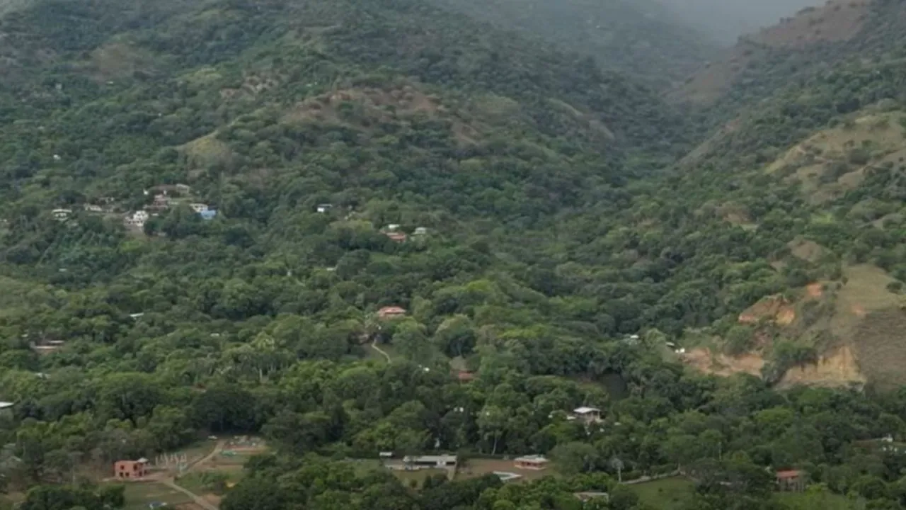 ¡Buenas noticias para los bosques! Corantioquia reportó una reducción de la deforestación en 2025 3 ¡Buenas noticias para los bosques! Corantioquia reportó una reducción de la deforestación en 2025
