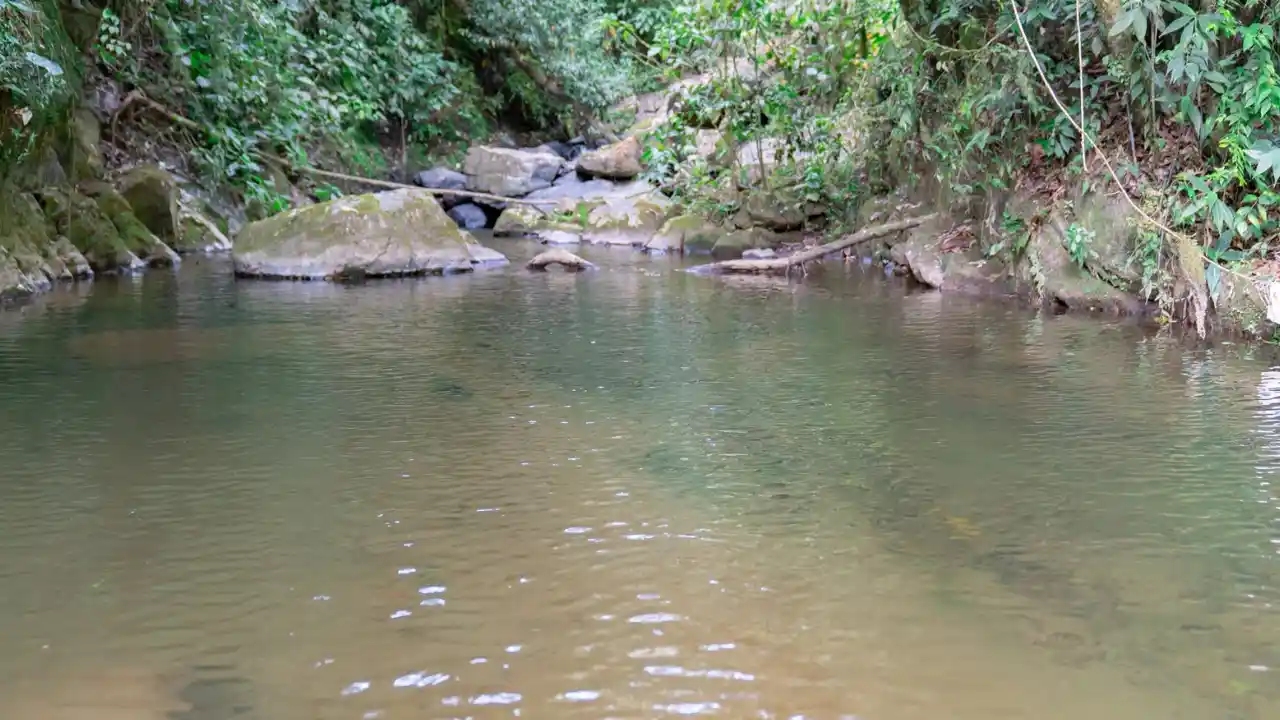 EPM alerta por bajo nivel de agua y pide ahorrar ante posible afectación del servicio 3 EPM alerta por bajo nivel de agua y pide ahorrar ante posible afectación del servicio