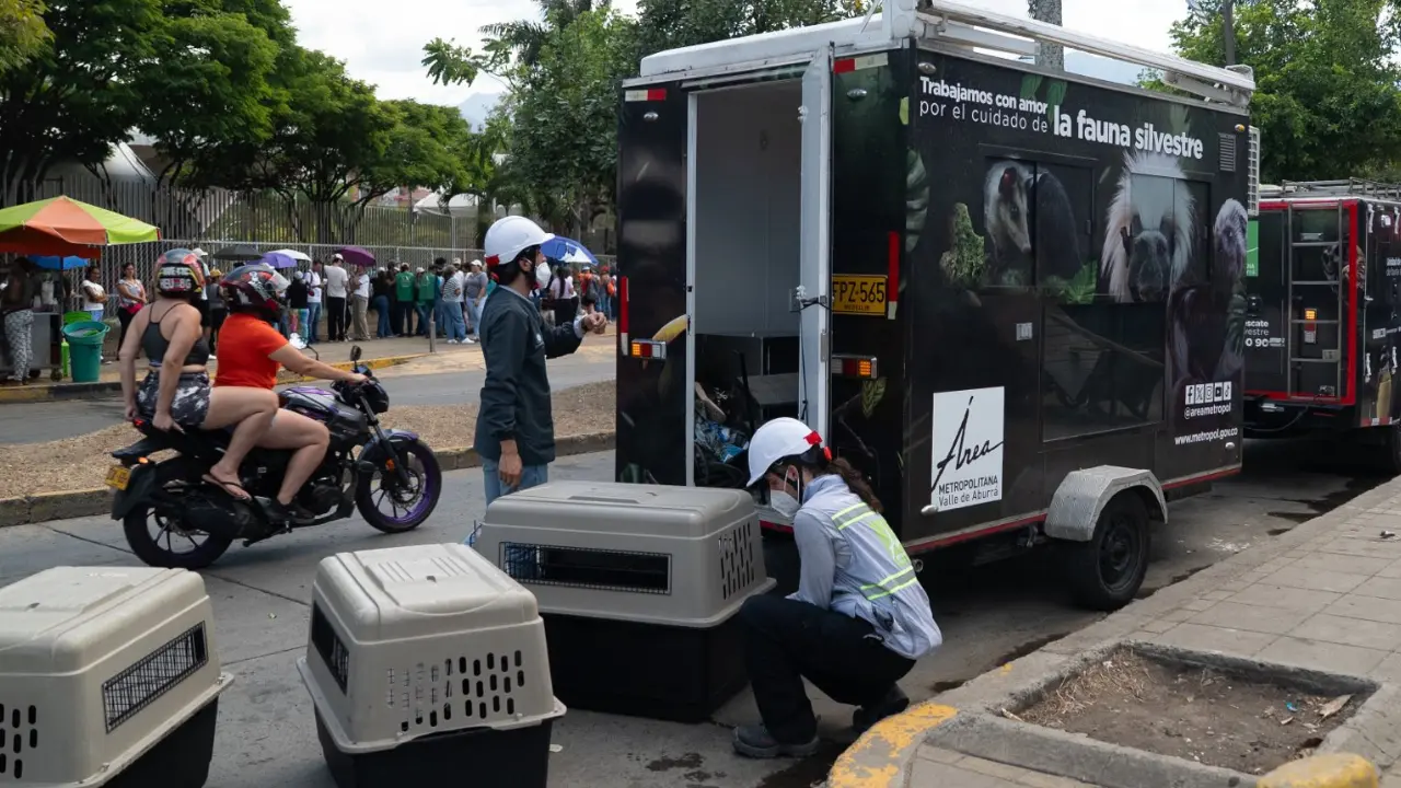 ¡Ellos también son familia! Equipo del Área Metropolitana rescata a 7 animales con vida en Cali