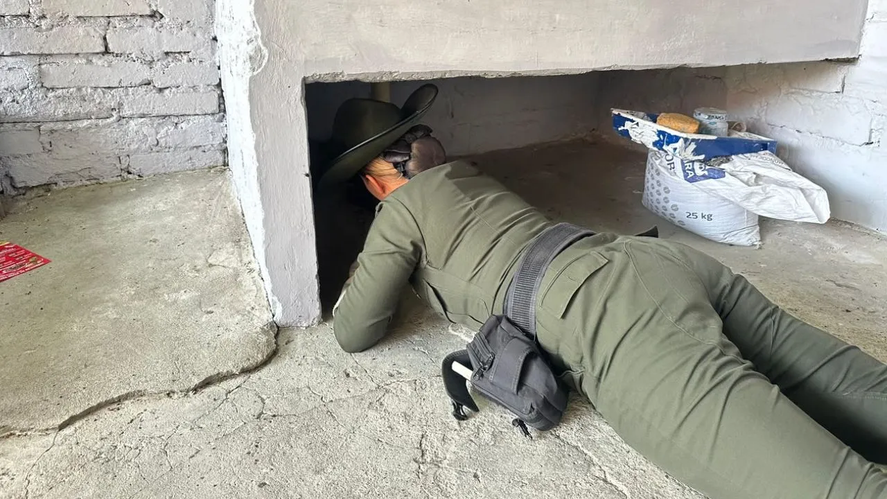 ¡Final feliz! Gatico se perdió durante el terremoto en Cartago y policías lograron encontrarlo 1 ¡Final feliz! Gatico se perdió durante el terremoto en Cartago y policías lograron encontrarlo