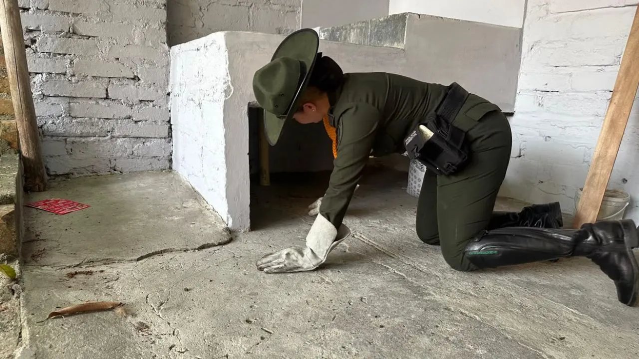 ¡Final feliz! Gatico se perdió durante el terremoto en Cartago y policías lograron encontrarlo 3 ¡Final feliz! Gatico se perdió durante el terremoto en Cartago y policías lograron encontrarlo