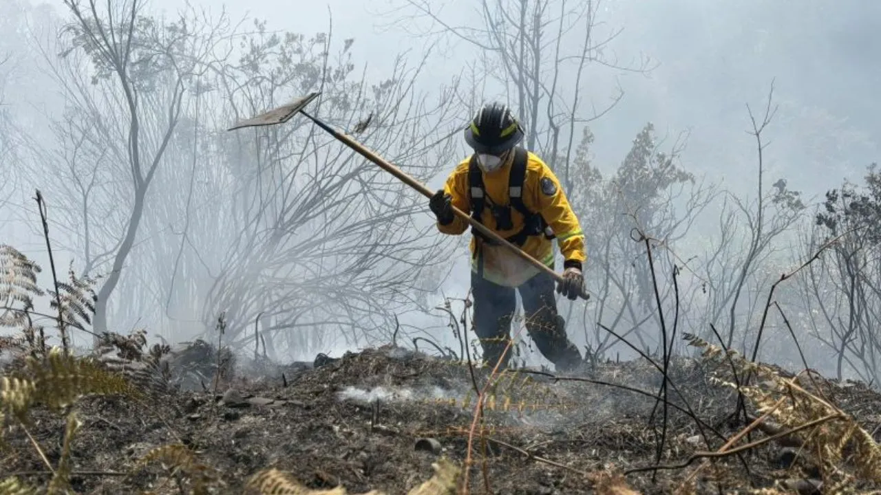 ¡Alerta en el Oriente antioqueño! 51 incendios han afectado cerca de 60 hectáreas en el último mes