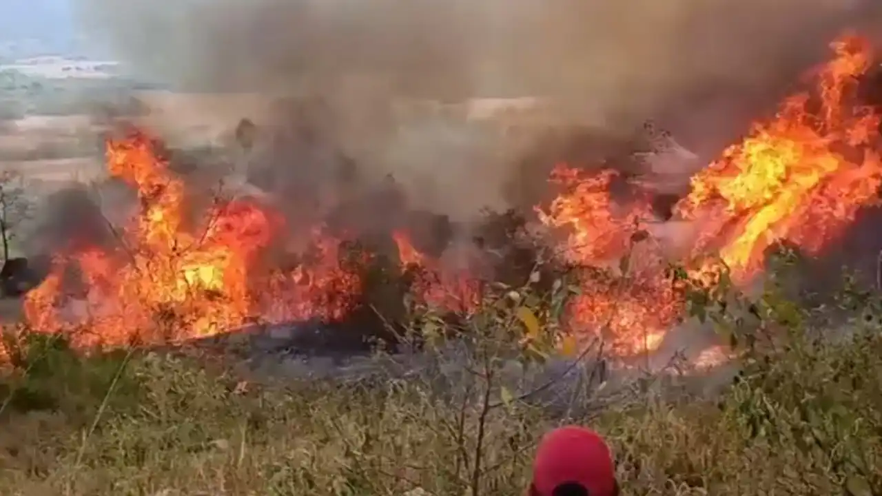 Tolima enfrenta grave emergencia por incendios y proponen recompensa de hasta $100 millones