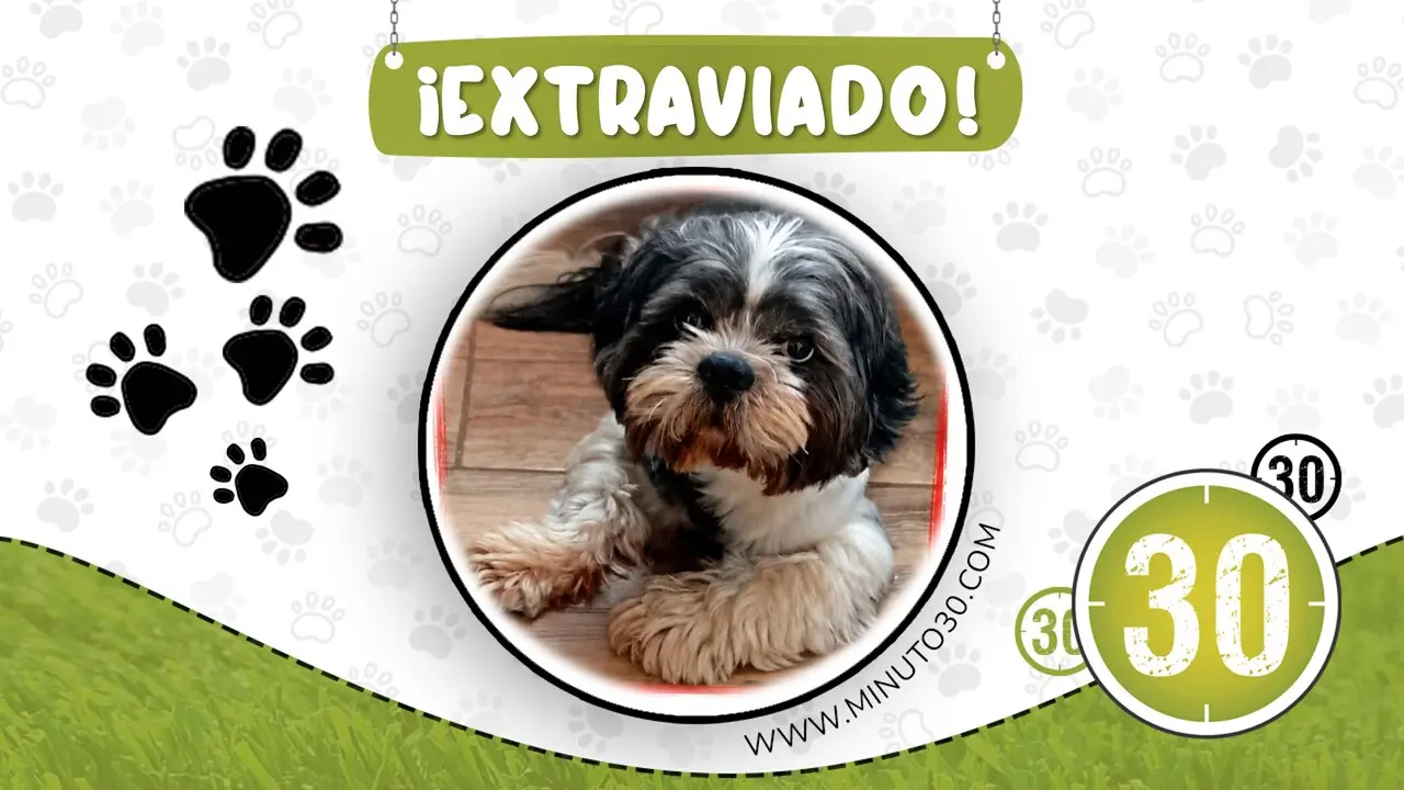 andy perdido en bello
