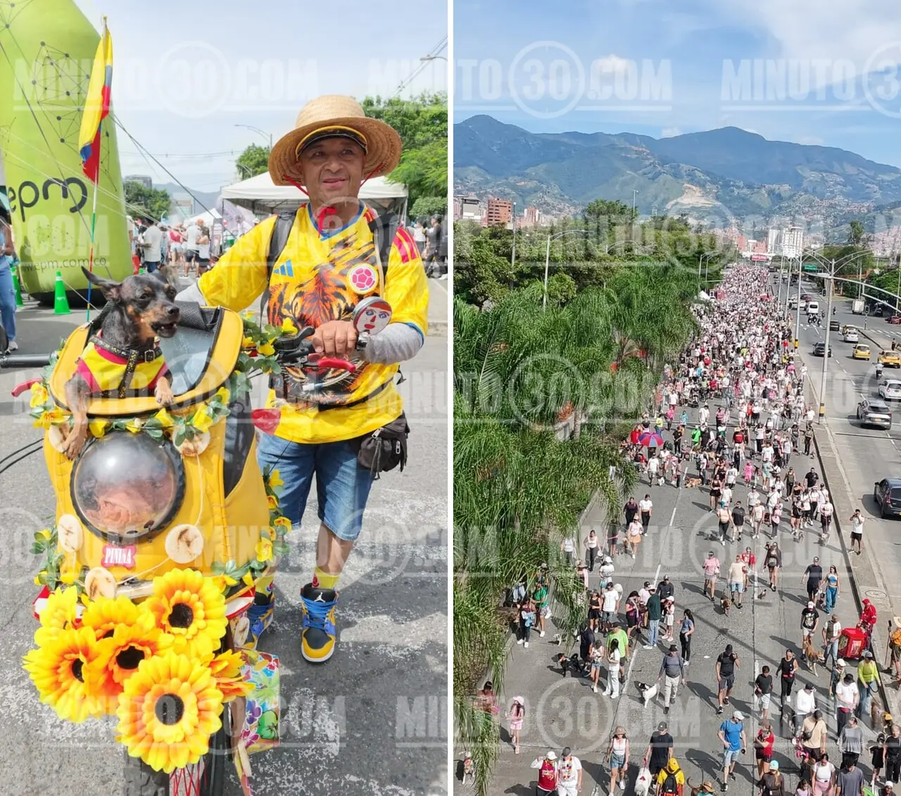¡Un oasis para los peluditos! La Caminata Canina y de mascotas se transformó en un gran festival «cero ruido» 7 caminata can1