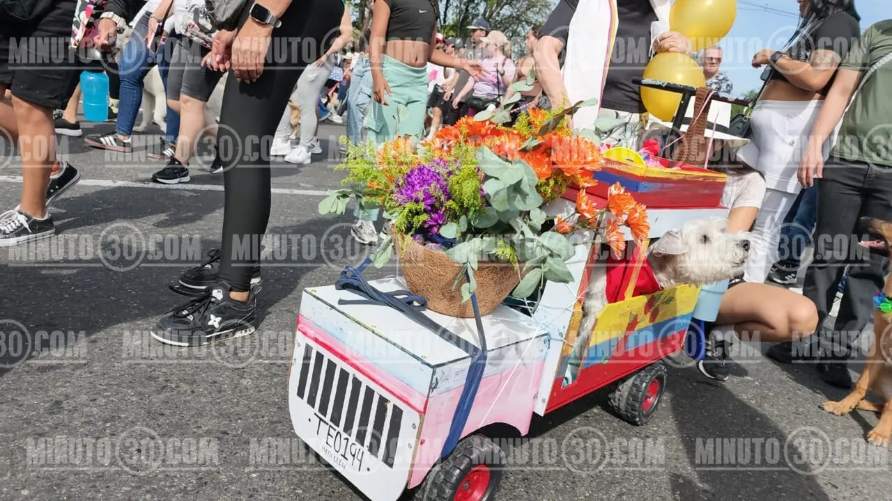 ¡Un oasis para los peluditos! La Caminata Canina y de mascotas se transformó en un gran festival «cero ruido» 4 caminata can4