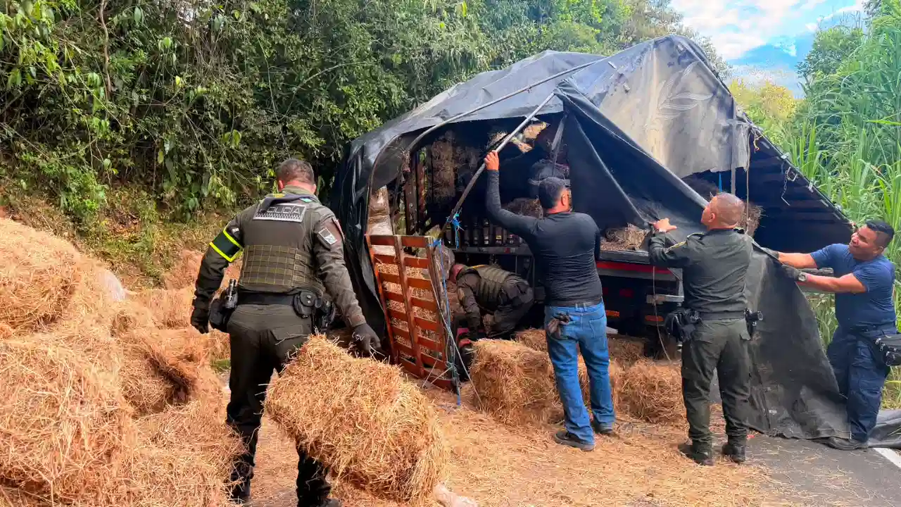 ¡Le pesó la moña! Volcó el camión, dejó al descubierto dos toneladas de marihuana y salió huyendo 3 ¡Le pesó la moña! Volcó el camión, dejó al descubierto dos toneladas de marihuana y salió huyendo