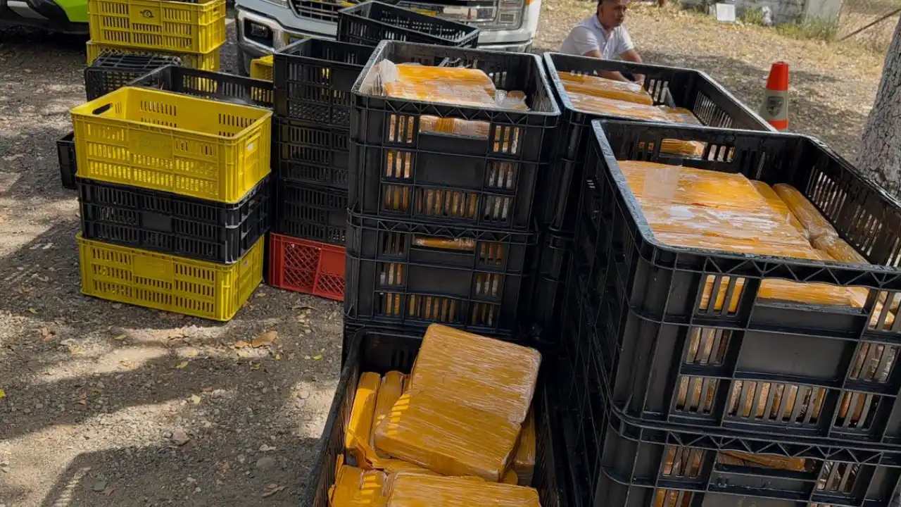 ¡Camuflaban 600 kilos de cocaína entre pescado! Policía frustró millonario cargamento en Huila 6 ¡Camuflaban 600 kilos de cocaína entre pescado! Policía frustró millonario cargamento en Huila