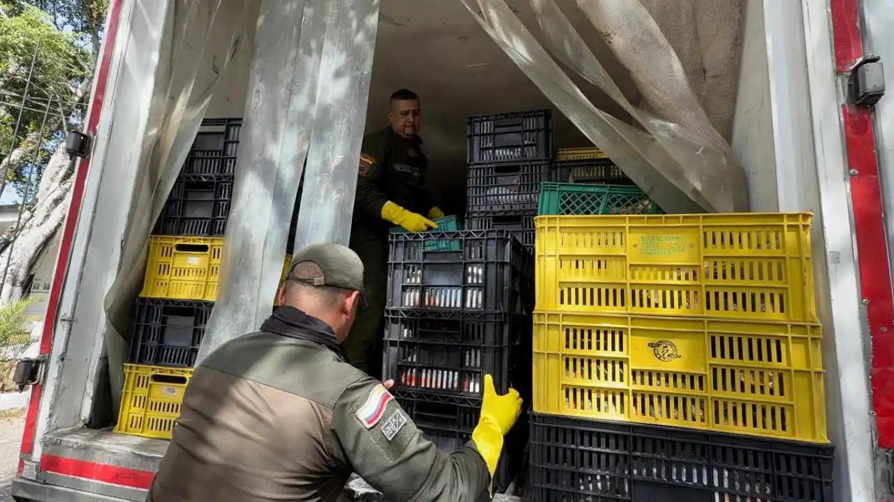 ¡Camuflaban 600 kilos de cocaína entre pescado! Policía frustró millonario cargamento en Huila 5 ¡Camuflaban 600 kilos de cocaína entre pescado! Policía frustró millonario cargamento en Huila