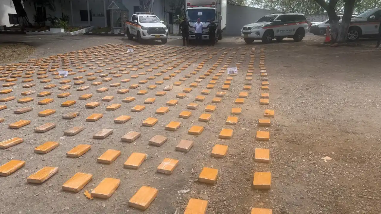 ¡Camuflaban 600 kilos de cocaína entre pescado! Policía frustró millonario cargamento en Huila 2 ¡Camuflaban 600 kilos de cocaína entre pescado! Policía frustró millonario cargamento en Huila