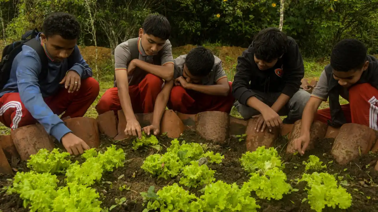 Colegios Verdes: la apuesta de Medellín para promover la sostenibilidad en las comunidades educativas 2 Colegios Verdes: la apuesta de Medellín para promover la sostenibilidad en las comunidades educativas