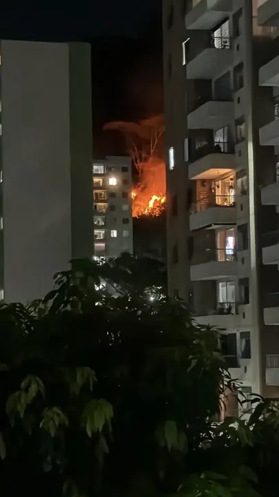 ¡Alarma en Rodeo Alto! Fuerte incendio forestal amenaza zona residencial en el suroccidente de Medellín 3 incendio rodeo alto1