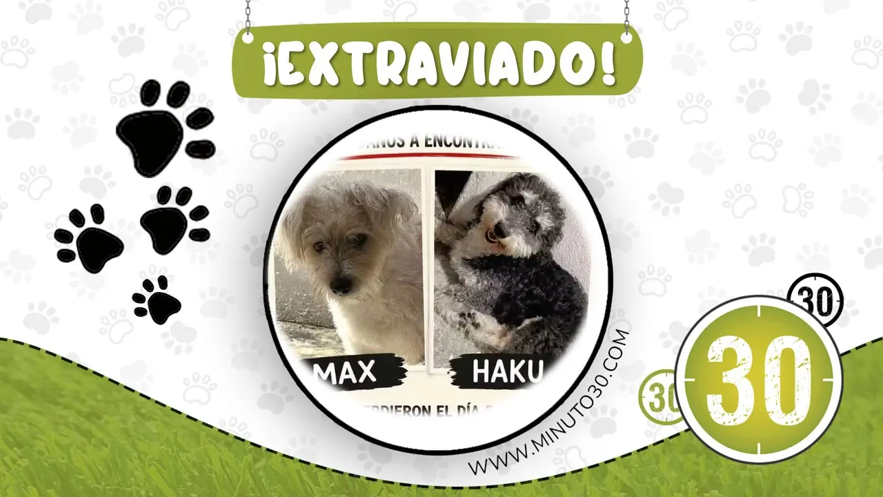 max haku