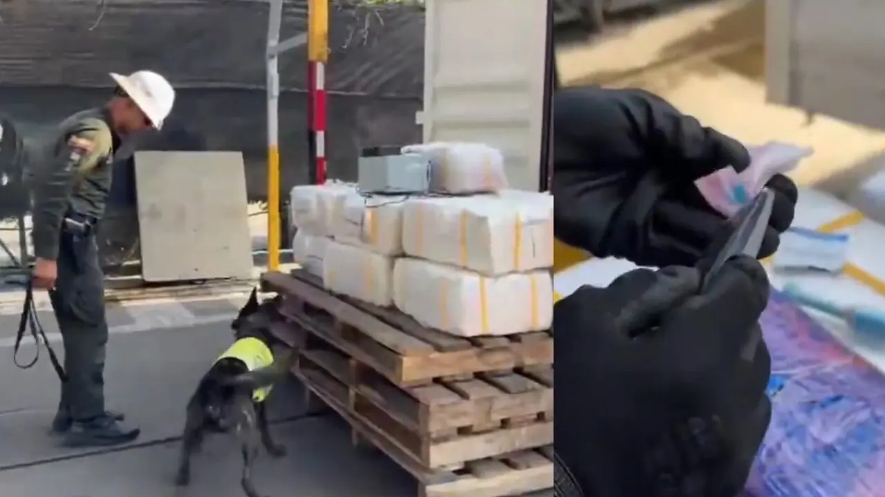 Duro golpe al narcotráfico: Policía incauta cerca de media tonelada de cocaína en el Puerto de Cartagena 1 media tonelada cocaina cartagena