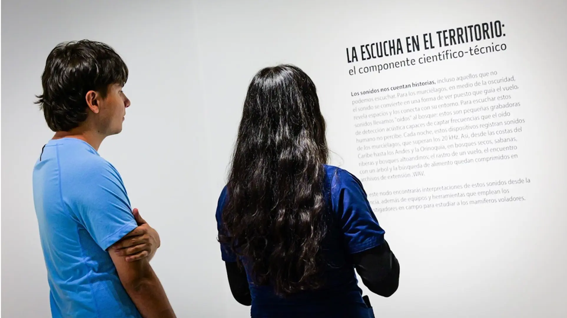 Investigadores del ITM revelan el universo sonoro de los murciélagos en una inédita exposición en Medellín 4 murcielago1