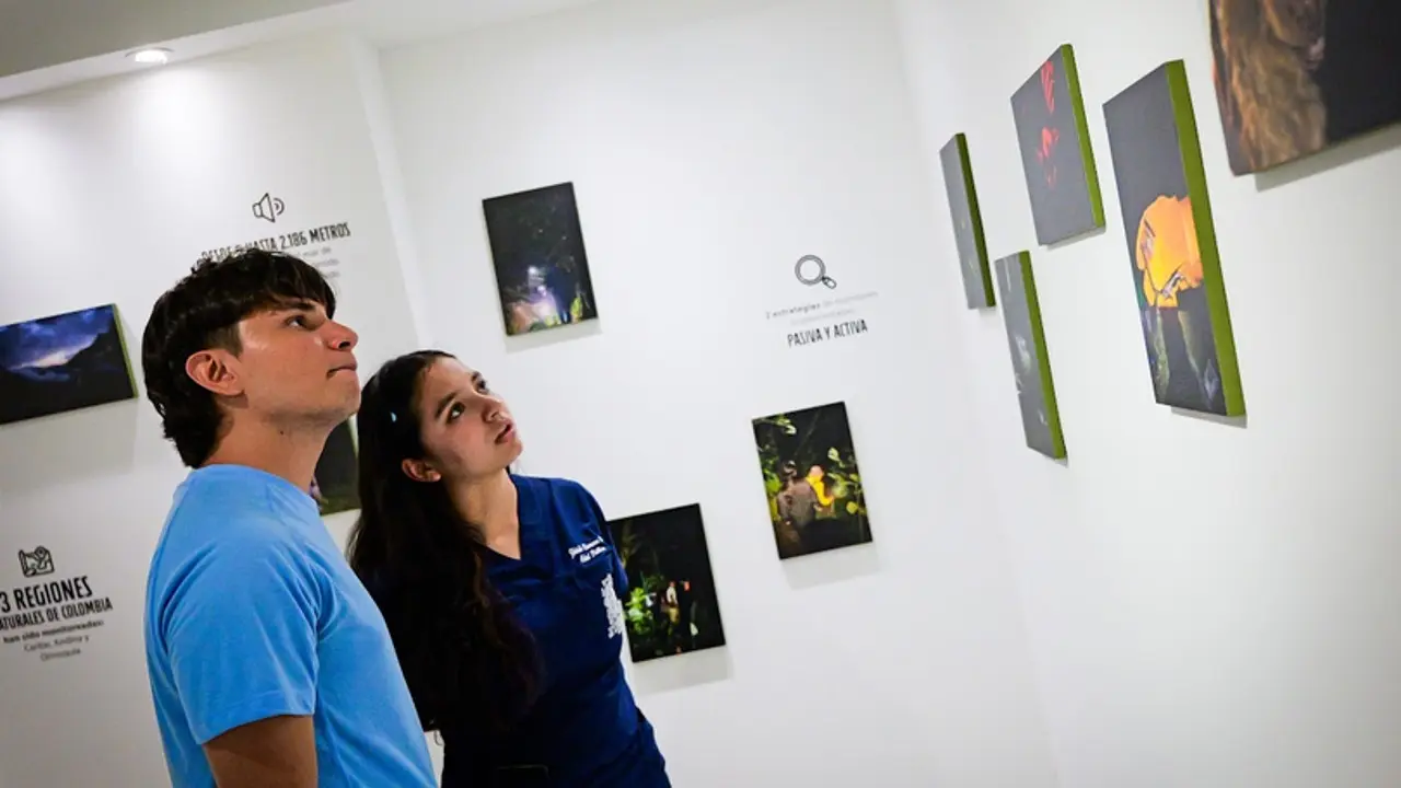 Investigadores del ITM revelan el universo sonoro de los murciélagos en una inédita exposición en Medellín 1 murcielago2