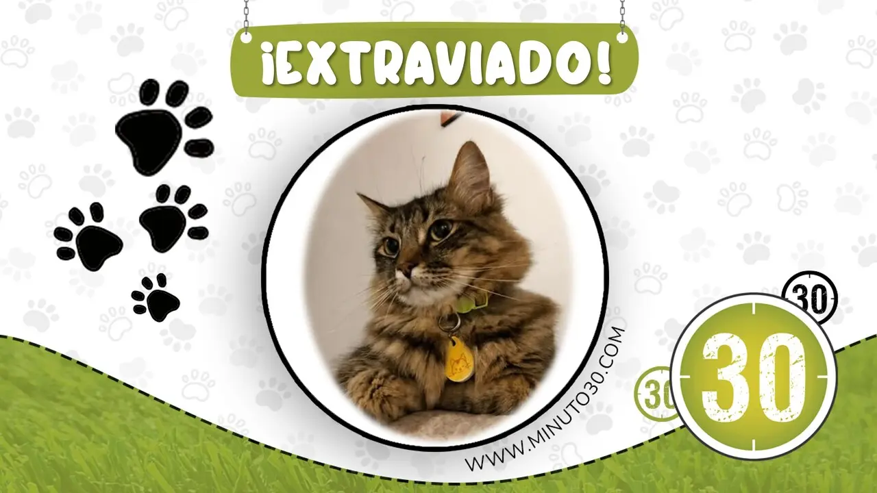 odin perdido