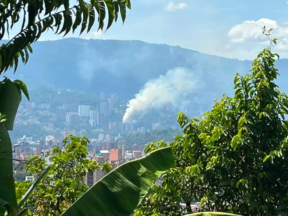 Bomberos Medellín combaten incendio forestal en la vía Las Palmas 2 palmas2