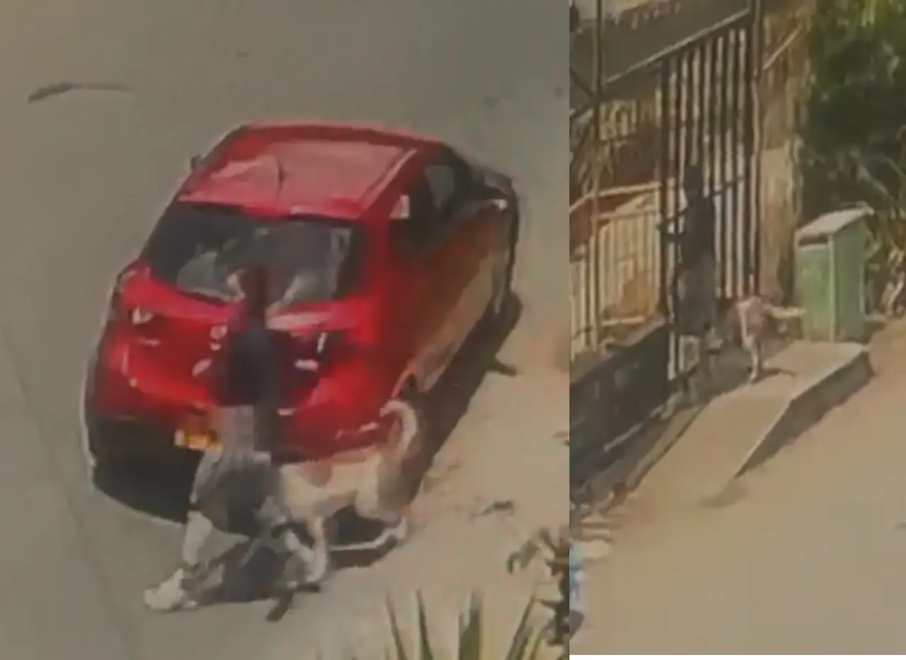 ¡Indignante! Cámara capta a mujer abandonando a un perrito a pleno sol a las afueras de la perrera de La Estrella 1 perrito abandono1