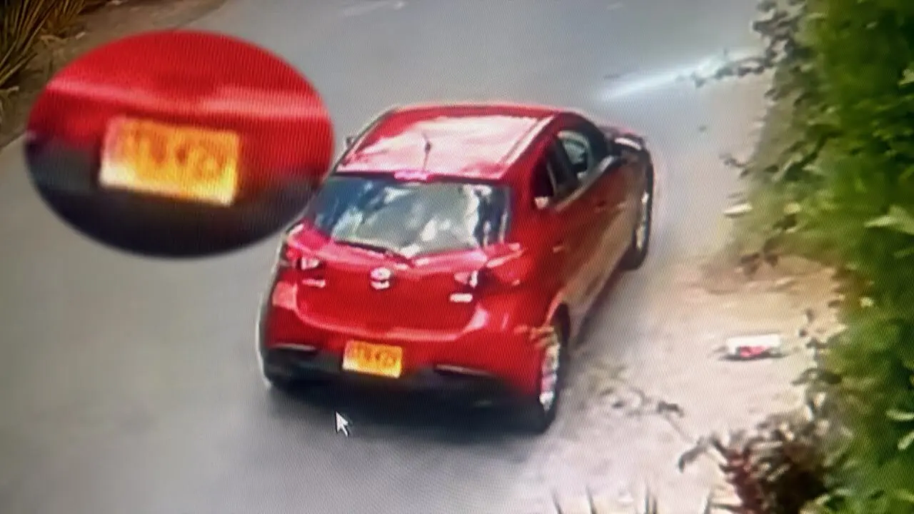 ¡Indignante! Cámara capta a mujer abandonando a un perrito a pleno sol a las afueras de la perrera de La Estrella 3 perrito abandono3