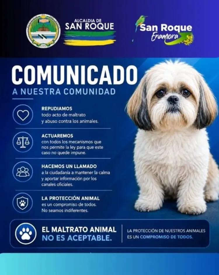 Agresor de la perrita Luna, víctima de brutal abuso sexual en San Roque, podría ser juzgado por la ley «no más zoofilia» 2 san roque luna1