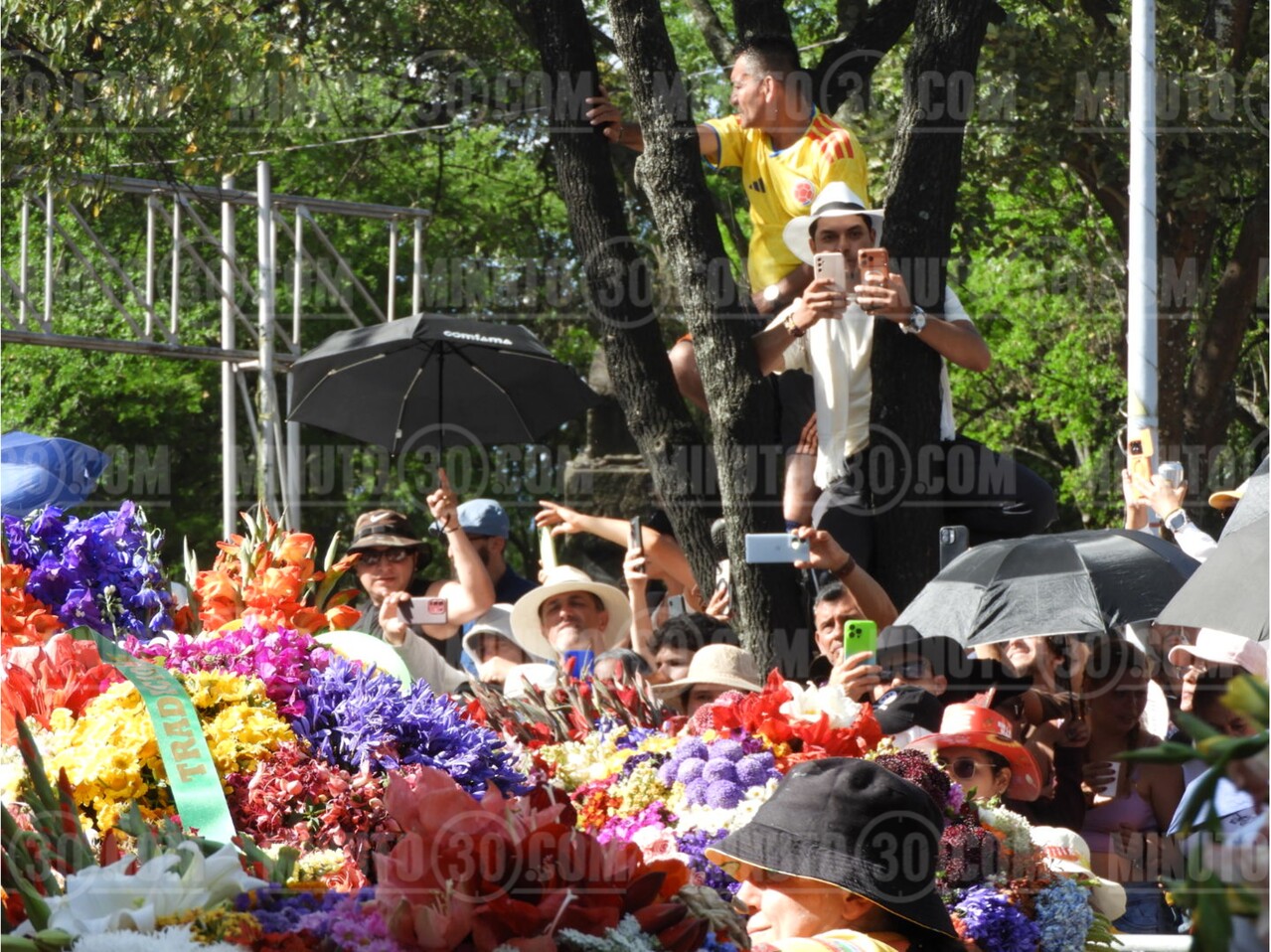 un cierre monumental para la Feria de las Flores 2026 22 silleteros med2