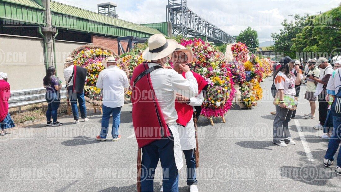 ¡Llegaron los silleteros! De Santa Elena bajan a Medellín para el majestuoso cierre de la Feria de las Flores 9 silleteros15