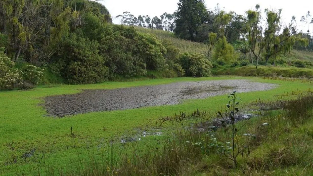 CAR inicia plan para proteger las aguas subterráneas que abastecen a Bogotá y 29 municipios
