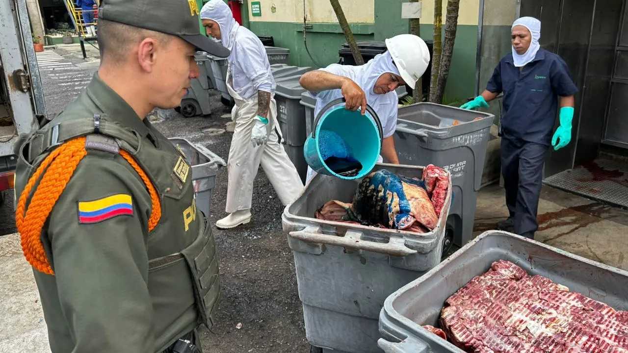 La Secretaría de Salud de Bello decomisó y destruyó 1.025 kilos de carne de cerdo de dudosa procedencia y en malas condiciones sanitarias durante un operativo en el sector El Salado. El establecimiento fue suspendido temporalmente y las autoridades reforzaron el llamado a comprar alimentos en lugares autorizados.