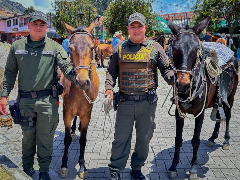 Sonsón da un paso histórico por el bienestar animal con la aprobación de un nuevo fondo 5 animales sonson1