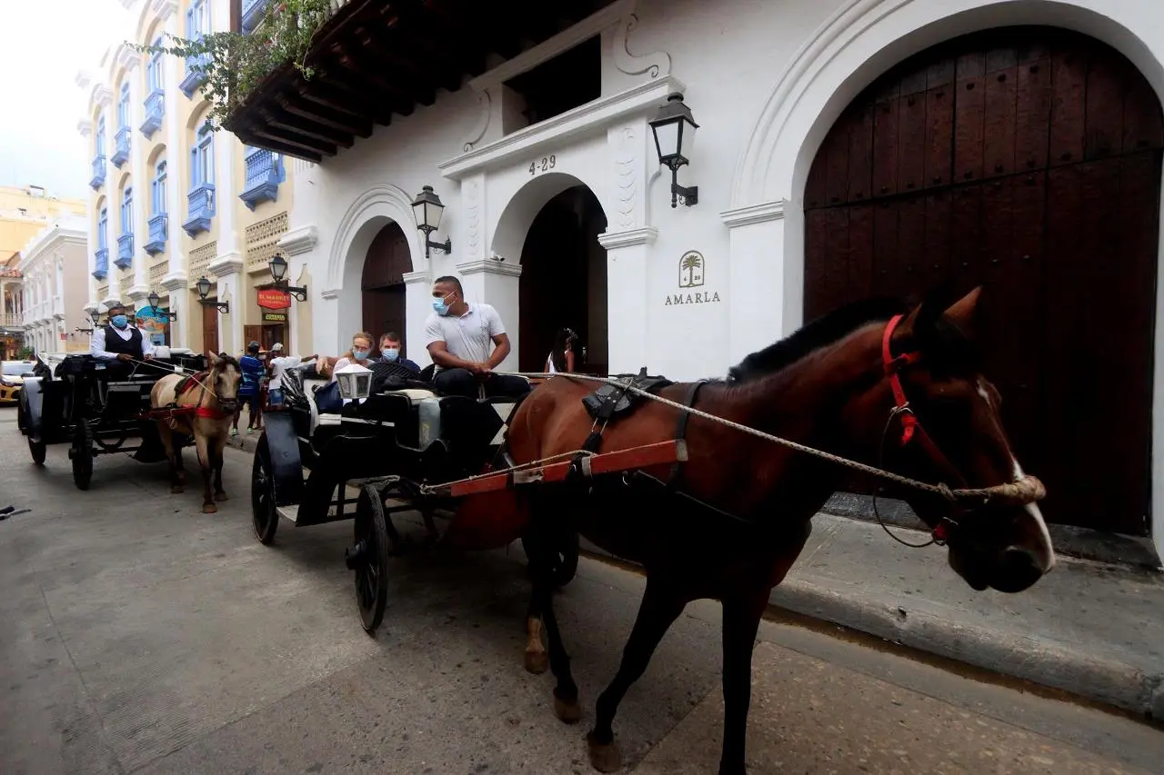¡Se acabaron los coches de caballos! Corte tomó decisión que cambia el turismo en Colombia