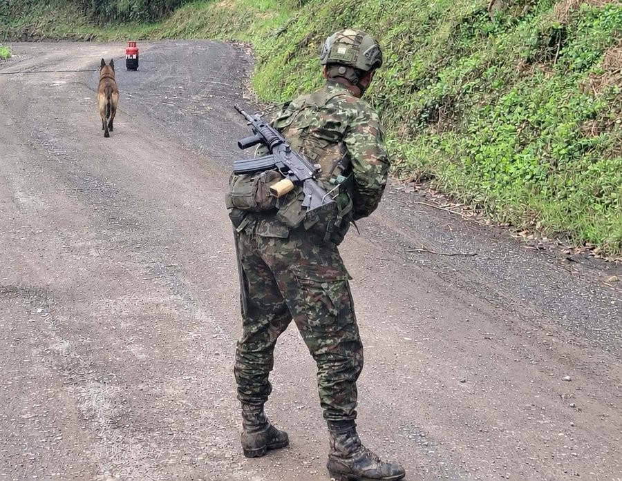 ¡Tragedia evitada! Ejército neutraliza cilindro bomba instalado por el ELN en Norte de Santander 2
