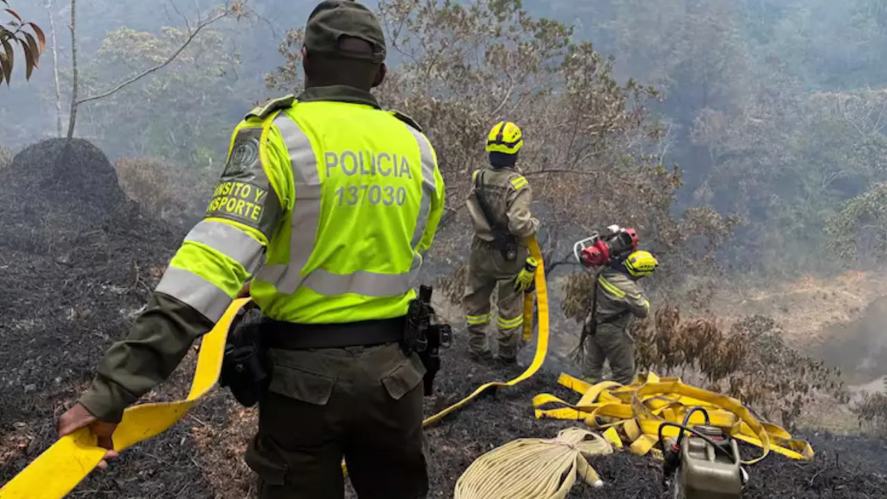 ¡El fuego avanzó con fuerza! Así controlaron incendio en zona rural de Guatapé