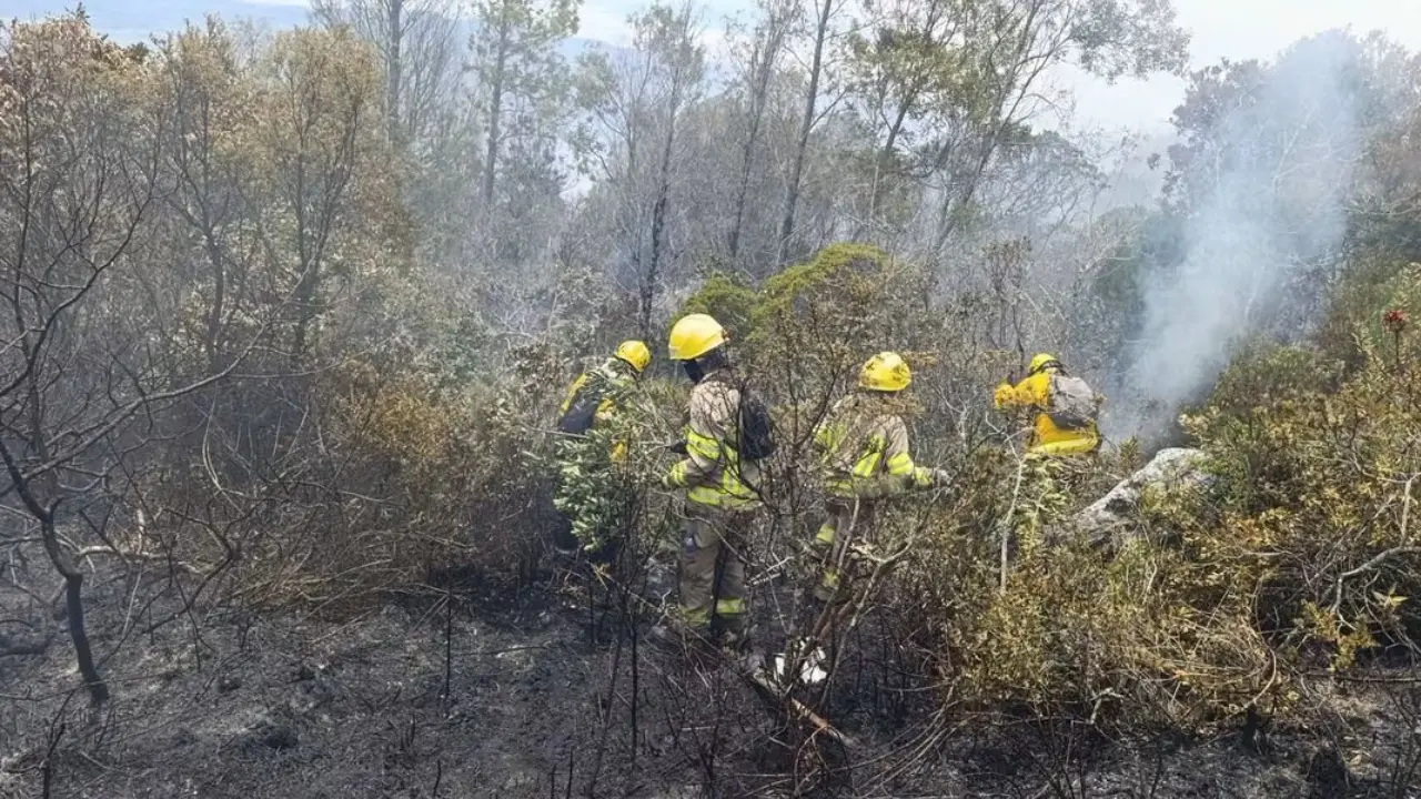 Incendio en Villa de Leyva da un respiro: ya va en 90% de control 3 Incendio en Villa de Leyva da un respiro: ya va en 90% de control