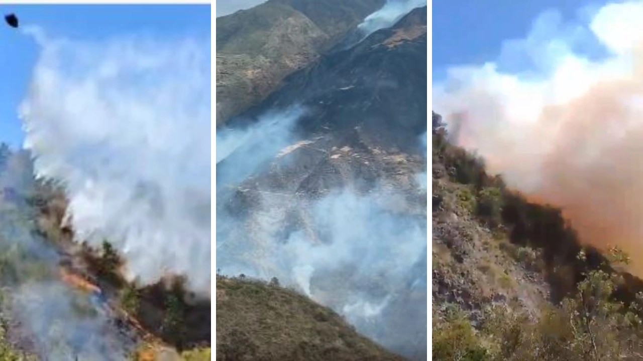 ¡El país se está prendiendo! Reportan 19 incendios activos y Tolima es el más golpeado