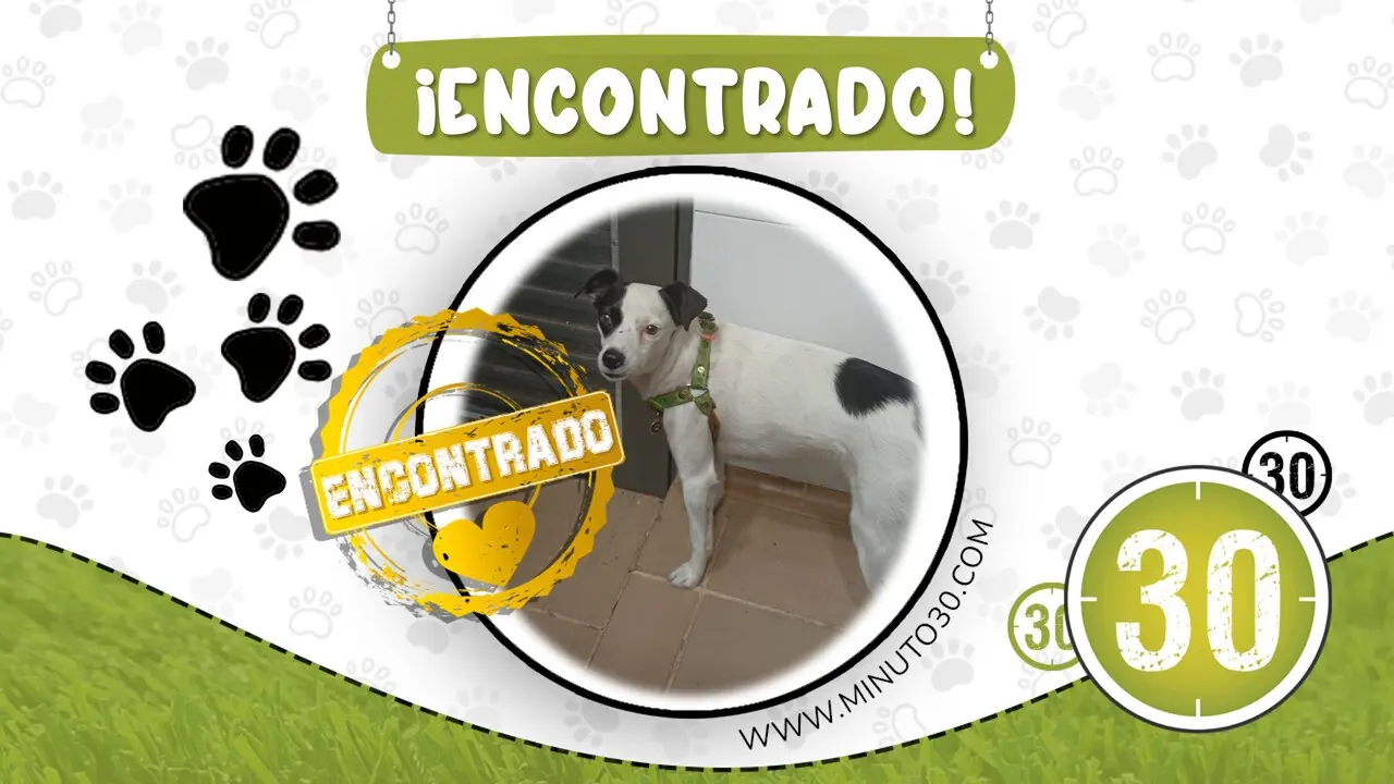 perrito guayabal con la familia