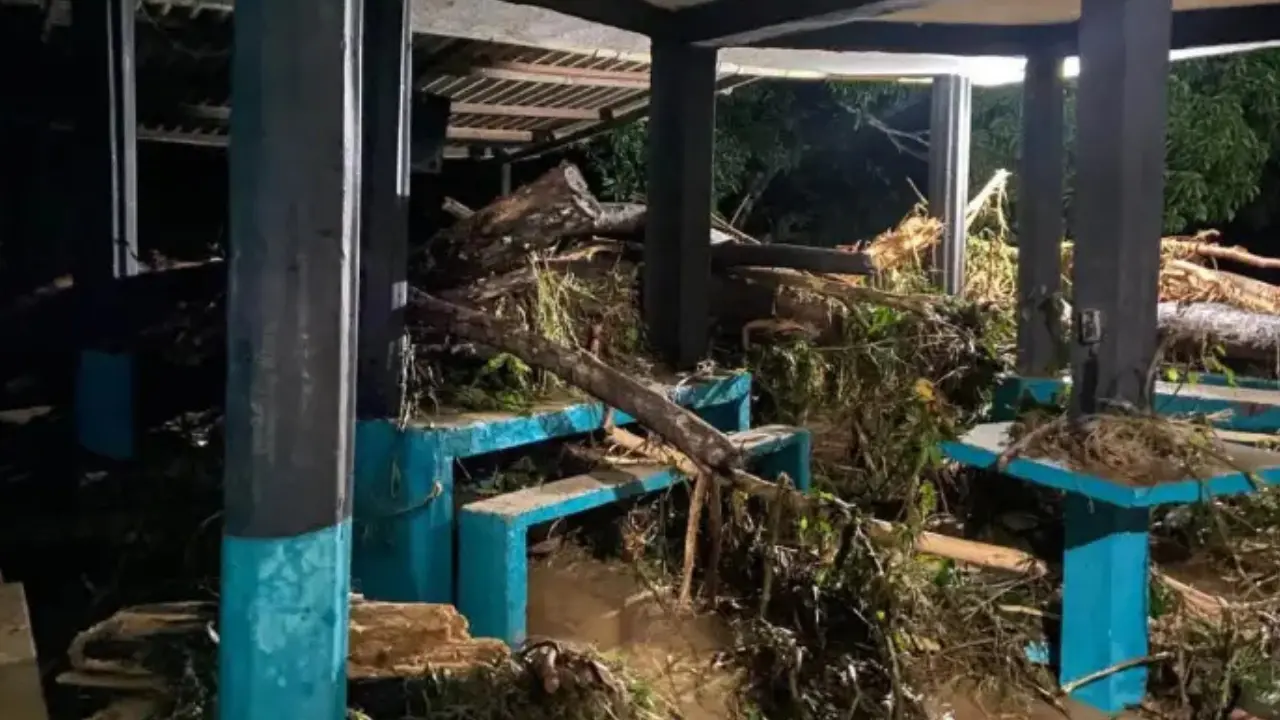 ¡Emergencia en Valdivia! Río destruyó puente y dejó a 160 familias incomunicadas
