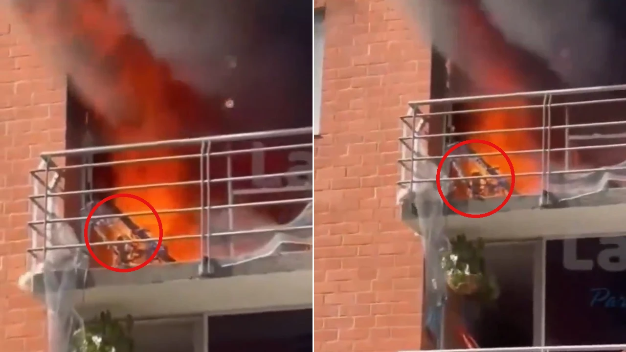 Perrita en el balcón de un quinto piso rodeada por el fuego durante un incendio en