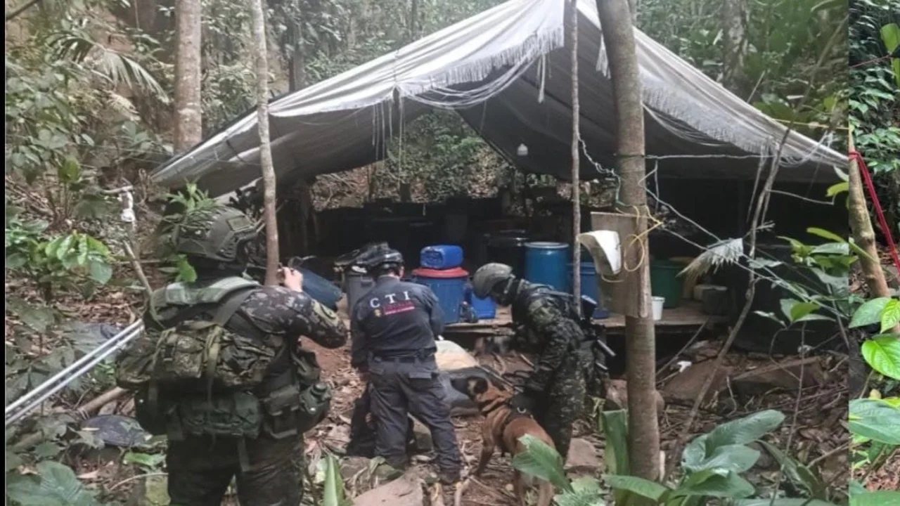 Operativo del Ejército en un laboratorio de cocaína del ELN en Sardinata