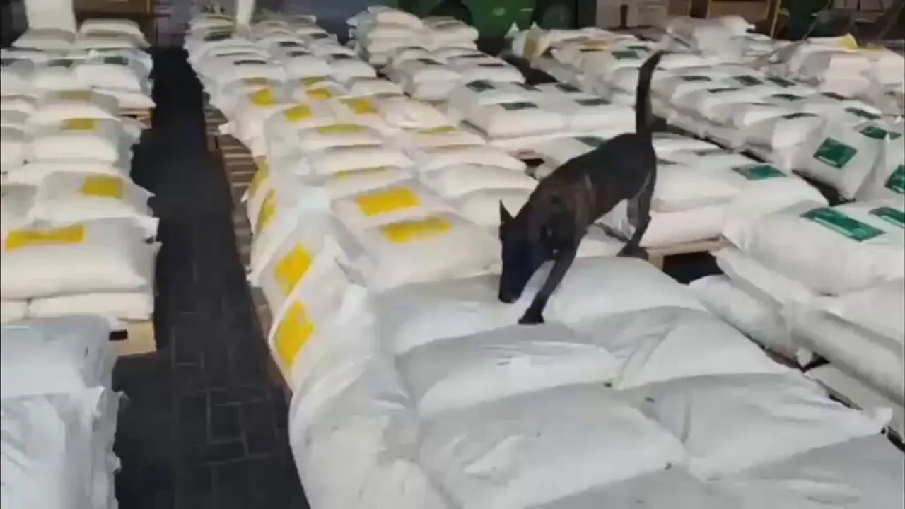Incautación de 7,6 toneladas de cocaína en el puerto de Cartagena
