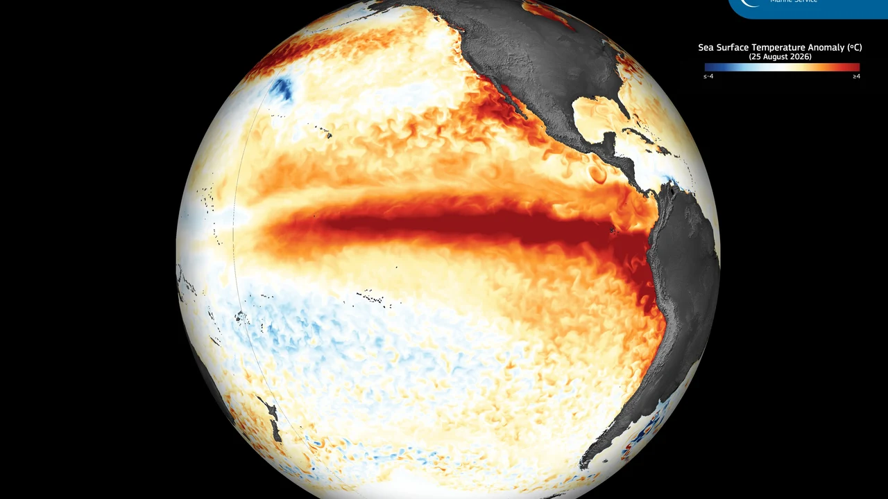 Anomalía de temperatura del océano Pacífico por el fenómeno de El Niño
