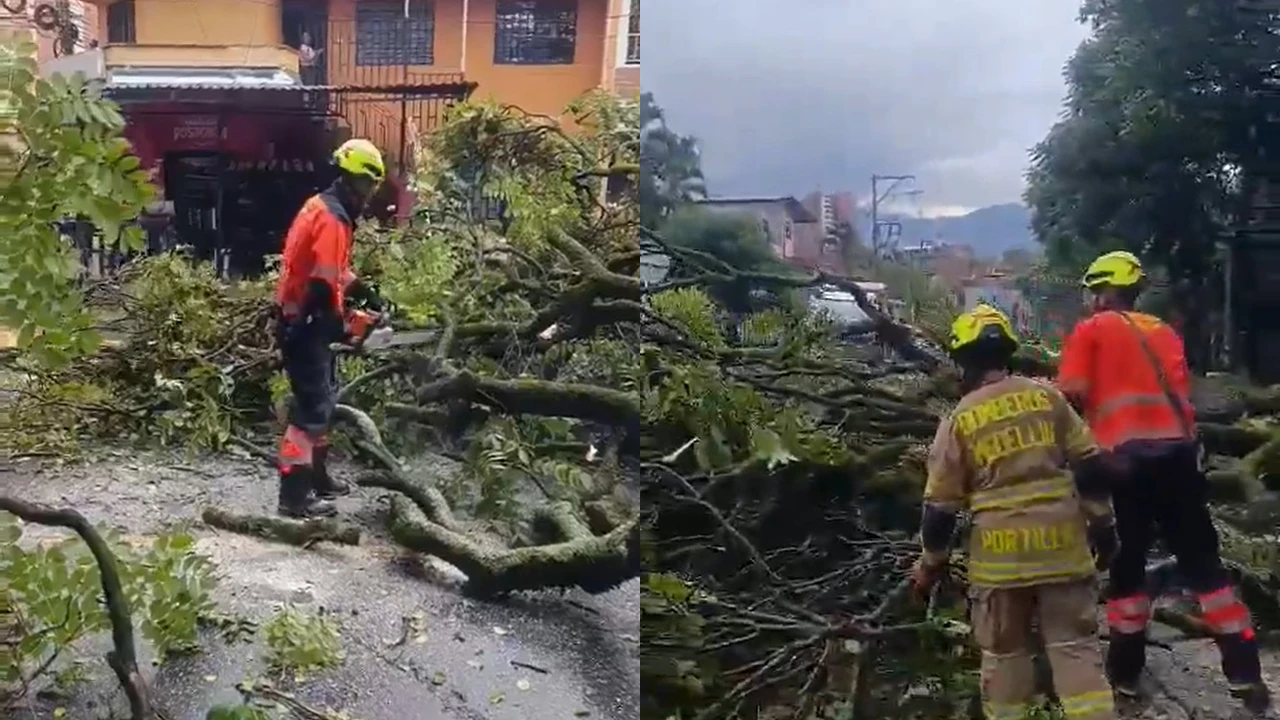 Bomberos de Medellín retiran con motosierra un árbol caído sobre la vía durante las lluvias en Belén