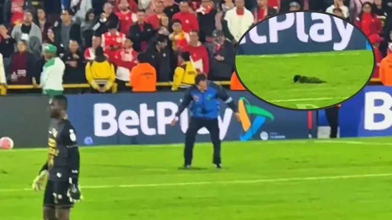 Empleado de Sencia de chaqueta azul sobre la cancha de El Campín y detalle de un trozo de césped levantado durante Santa Fe-Jaguares.
